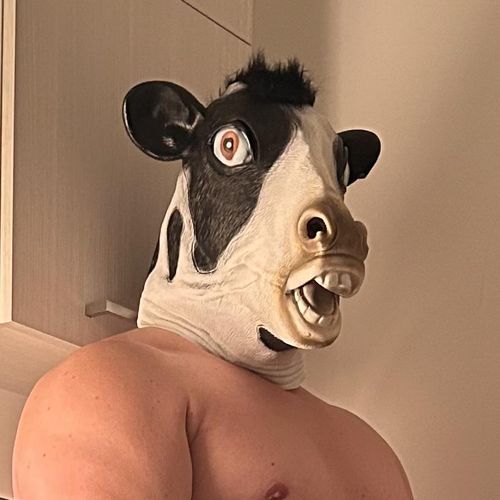 Cowborghini MYM